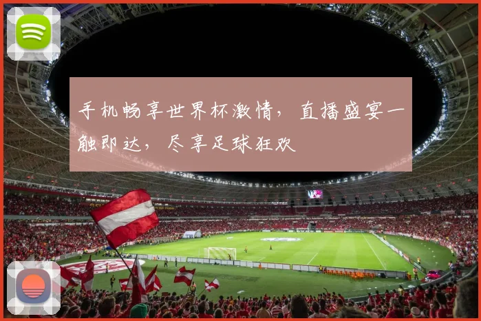 手机畅享世界杯激情，直播盛宴一触即达，尽享足球狂欢