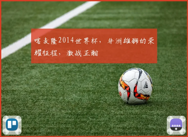 喀麦隆2014世界杯，非洲雄狮的荣耀征程，激战正酣