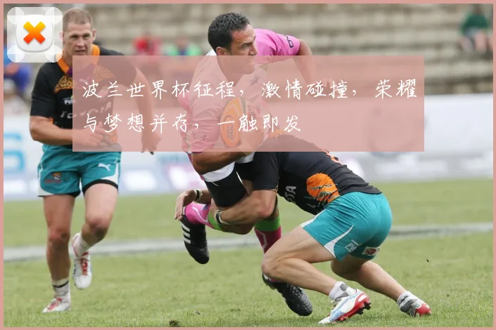 波兰世界杯征程，激情碰撞，荣耀与梦想并存，一触即发