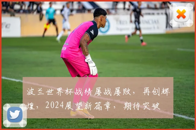 波兰世界杯战绩屡战屡败，再创辉煌，2024展望新篇章，期待突破