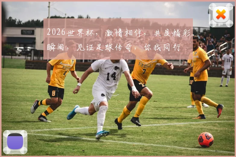 2026世界杯，激情相伴，共度精彩瞬间，见证足球传奇，你我同行