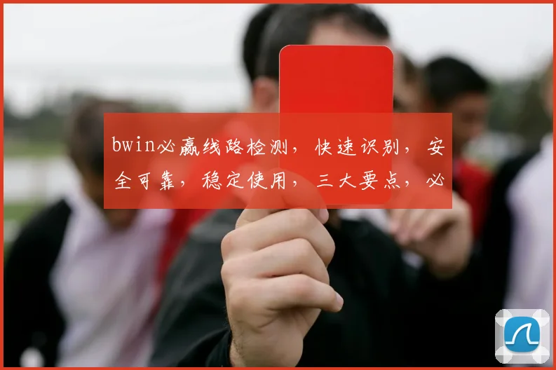bwin必赢线路检测，快速识别，安全可靠，稳定使用，三大要点，必看攻略
